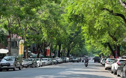 Thời tiết 10/2: Hà Nội trời tạnh ráo, nhiệt độ tăng