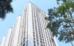 Mốc thời gian khai thuế đối với người cho thuê nhà