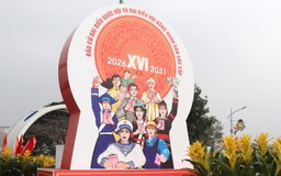 Phấn khởi hướng tới ngày hội non sông