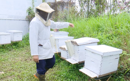 Chuyển đổi số đi từ lớp học ra thực địa | Chuyển đổi số | 10/03/2026