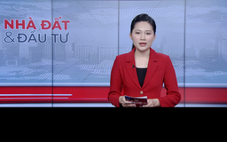 Bản tin Nhà đất và đầu tư | 12/03/2026