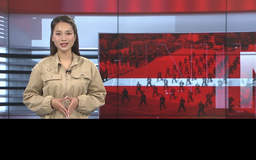 Bản tin 141 | 12/03/2026