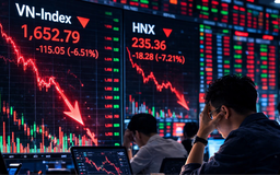 VN-Index giảm 115 điểm/phiên chủ yếu do yếu tố tâm lý