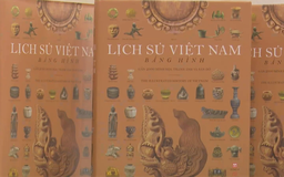 Lịch sử Việt Nam bằng hình