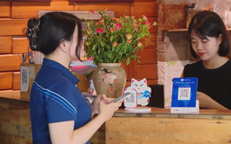Đề xuất hỗ trợ phí thuê giải pháp công nghệ số cho hộ kinh doanh