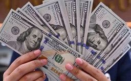 Đồng USD hướng tới tuần tăng giá thứ hai liên tiếp