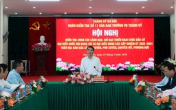 Công bố quyết định kiểm tra đối với Đảng ủy các phường Đống Đa, Kim Liên