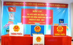Thành phố Hồ Chí Minh sẵn sàng cho ngày hội toàn dân