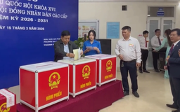 Phó Thủ tướng Nguyễn Chí Dũng thực hiện quyền công dân tại phường Ba Đình