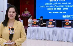 Phường Yên Hoà rộn ràng ngày bầu cử