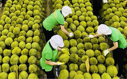 Siết chặt quản lý chất lượng hàng xuất khẩu sang Trung Quốc