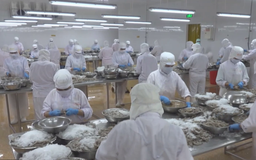 Doanh nghiệp nỗ lực giữ đà xuất khẩu