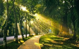 Thời tiết 19/3: Hà Nội trời nắng, nhiệt độ cao nhất 28 độ