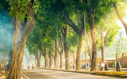 Thời tiết 20/3: Hà Nội sáng sớm có sương mù, trưa chiều hửng nắng