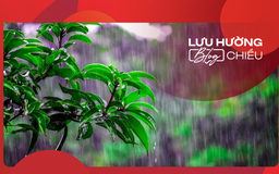 Mưa xuân trong miền nhớ