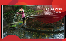Giếng quê tha thiết một niềm thương