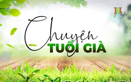 Đạp xe, bí quyết sống khỏe của người cao tuổi | Chuyện tuổi già | 22/03/2026