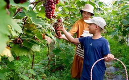 Đánh thức làng quê