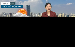 Dự báo thời tiết tối | 23/03/2026
