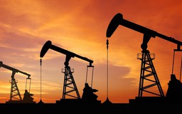 Giá dầu Brent đã tăng trở lại trên 100 USD/thùng