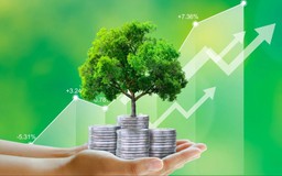 Khơi thông vốn xanh, nâng cao sức cạnh tranh của doanh nghiệp