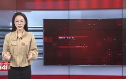 Bản tin 141 | 25/03/2026