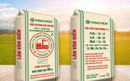 Phân lân Văn Điển đối mặt nguy cơ hủy niêm yết