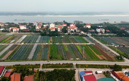 Nông nghiệp đô thị - Nơi đất đai khơi nguồn