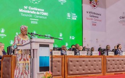 WTO họp bàn cải cách giữa căng thẳng thương mại toàn cầu