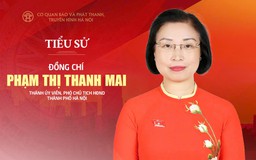 Tóm tắt tiểu sử Phó Chủ tịch HĐND thành phố Hà Nội khóa XVII Phạm Thị Thanh Mai