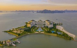 Vinpearl đã chuyển quyền sở hữu hơn 85 triệu cổ phiếu VIC