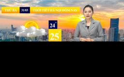 Dự báo thời tiết sáng | 31/03/2026