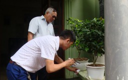 Chủ động phòng chống dịch sốt xuất huyết từ sớm