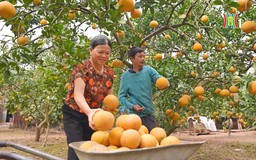 Người gieo trái ngọt cho đời | Người tốt quanh ta | 01/04/2026