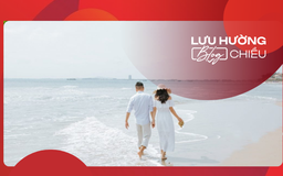 Lòng nghiêng về phía biển trời có anh