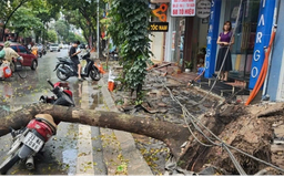 Cắt tỉa cây xanh, đảm bảo an toàn giao thông