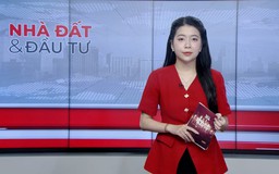 Bản tin Nhà đất và đầu tư | 31/03/2026