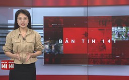 Bản tin 141 | 31/03/2026