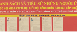 Niêm yết danh sách người ứng cử: Công khai, minh bạch, đúng quy định