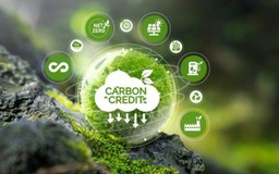 Thúc đẩy thị trường carbon cho chuyển đổi bền vững