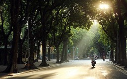 Thời tiết 6/3: Hà Nội trời hửng nắng, ấm áp