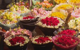 Rực rỡ sắc hoa tại chợ hoa Quảng Bá
