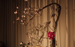 Triển lãm “Gió Đông” - Nghệ thuật hoa đạo Nhật Bản tại Hà Nội