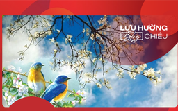 Mùa xuân ở phía mong chờ