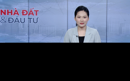 Bản tin Nhà đất và đầu tư | 07/3/2026