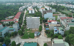 Đất nền ven Hà Nội rao bán tới 300 triệu đồng/m²