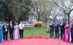 Gắn biển công trình cải tạo hồ Đống Đa
