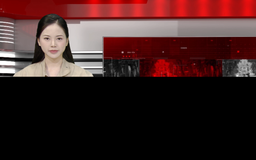 Bản tin 141 | 08/03/2026