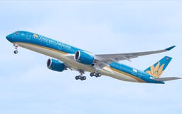 Các hãng bay Việt với chiến lược hiện đại hóa