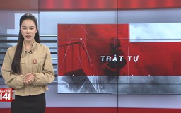 Bản tin 141 | 01/04/2026
